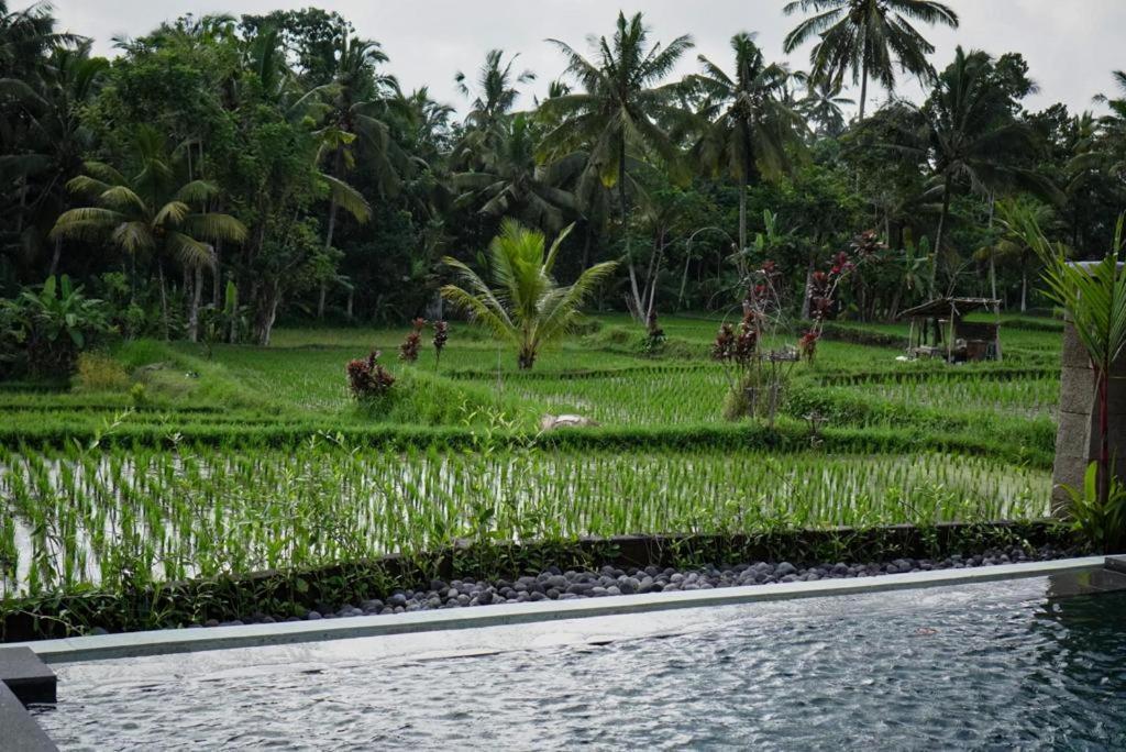 The Banana'S Kumbe Villa Tampaksiring Exterior foto