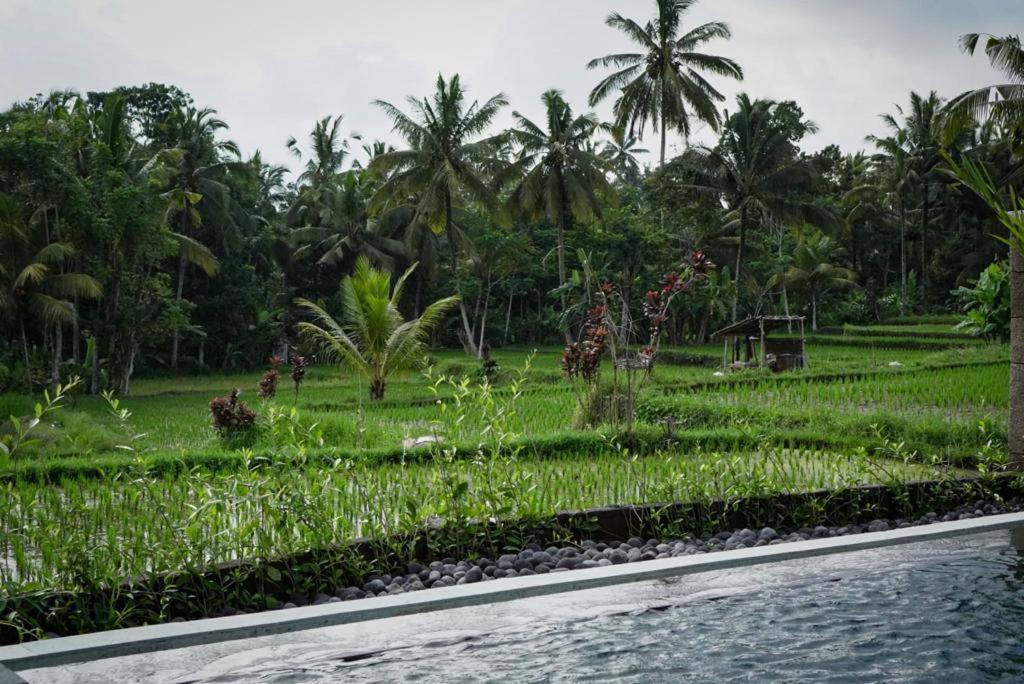 The Banana'S Kumbe Villa Tampaksiring Exterior foto